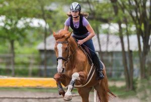 Chancen verwerten und mit Risiken umgehen können ist auch im Pferdesport wichtig. ©  shutterstock | fotokostic