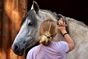 Das Putzen des Pferdes kann als Ritual dienen. © pixabay | alexas_photos