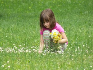 Der Frühling eignet sich besonders gut, um deine Achtsamkeit zu schulen. Zum Beispiel beim Blumen pflücken! © pixabay