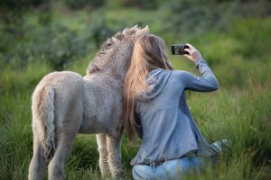 Warum wir uns weniger auf die Selfies, als auf unsere Arbeit mit den Pferden konzentrieren sollten! © pexels