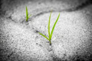 Resilienz bedeutet, herausfordernden Situationen die Stirn bieten zu können und daraus auch Nutzen zu ziehen! © tambira photography