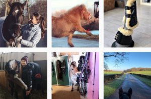 Der Hashtag #equestrian zählt mehrere Millionen Beiträge auf instagram © Instagram